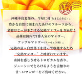 【直送品】沖縄完熟マンゴー優品1kg