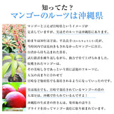【直送品】沖縄完熟マンゴー優品1kg