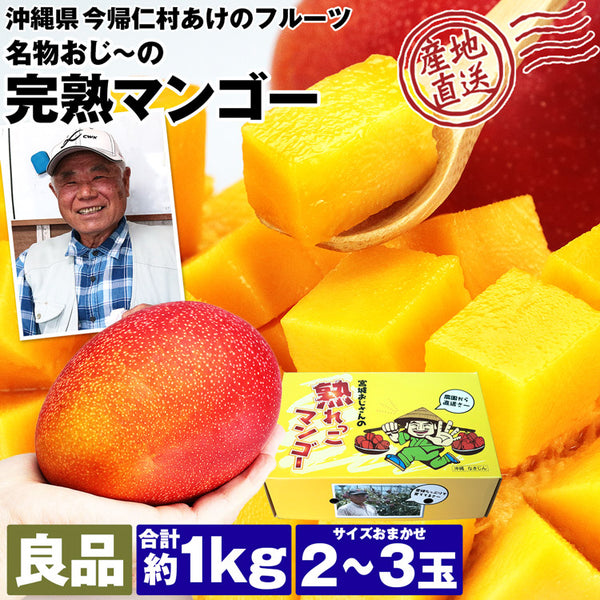 【直送品】沖縄完熟マンゴー良品1kg