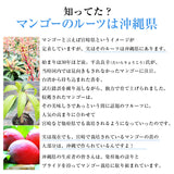 【直送品】沖縄完熟マンゴー良品1kg