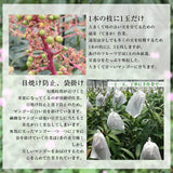 【直送品】沖縄完熟マンゴー優品2kg