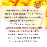【直送品】沖縄完熟マンゴー優品2kg