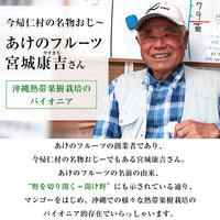 【直送品】沖縄完熟マンゴー優品2kg