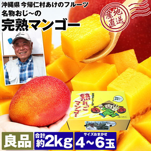 【直送品】沖縄完熟マンゴー良品2kg