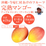 【直送品】沖縄完熟マンゴー良品2kg