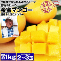 【直送品】金蜜マンゴー1kg