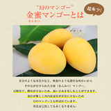 【直送品】金蜜マンゴー1kg