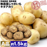 【直送品】じゃがいもA品1.5kg