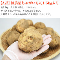 【直送品】じゃがいもA品1.5kg