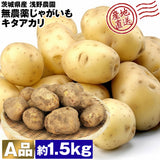 【直送品】じゃがいもA品1.5kg