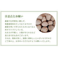 【直送品】じゃがいもA品4kg