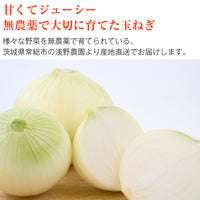 【直送品】たまねぎA品9kg