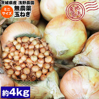 【直送品】たまねぎミニサイズ4kg