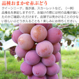 【直送品】青＆赤ブドウセット1kg
