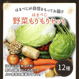 【直送品】野菜もりもりセット12種