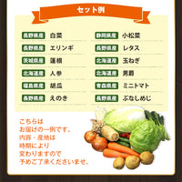 【直送品】野菜もりもりセット12種