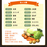 【直送品】野菜もりもりセット12種