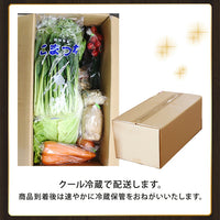 【直送品】野菜もりもりセット12種