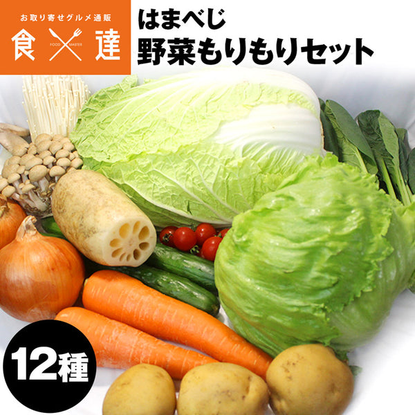 【直送品】野菜もりもりセット12種