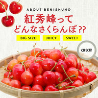 【直送品】北海道産紅秀峰800g