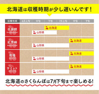 【直送品】北海道産紅秀峰800g