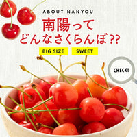 【直送品】北海道産南陽800g