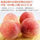 【直送品】甲斐一宮の桃白桃系3kg箱