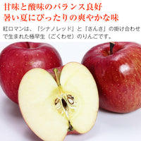 【直送品】紅ロマン特ご家庭用10kg40玉