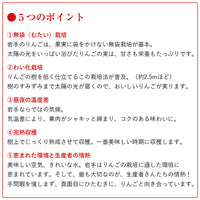 【直送品】紅ロマン特ご家庭用10kg40玉