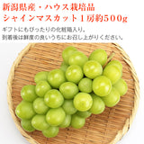 【直送品】ハウスシャイン500g化粧箱
