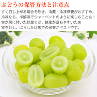 【直送品】ハウスシャイン500g化粧箱