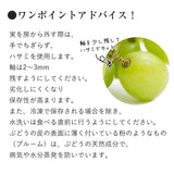 【直送品】ハウスシャイン500g化粧箱