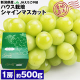 【直送品】ハウスシャイン500g化粧箱