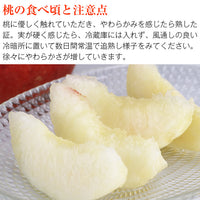 【直送品】桃3kg糖鮮確実