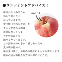 【直送品】桃3kg糖鮮確実