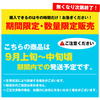 【直送品】豊水梨5kg糖鮮確実