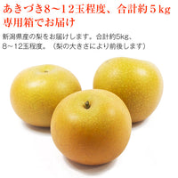 【直送品】あきづき梨5kg糖鮮確実
