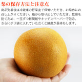 【直送品】あきづき梨5kg糖鮮確実