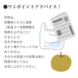 【直送品】あきづき梨5kg糖鮮確実