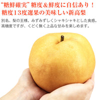 【直送品】新高梨5kg糖鮮確実