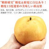 【直送品】新高梨5kg糖鮮確実