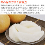 【直送品】新高梨5kg糖鮮確実