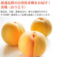 【直送品】品種おまかせ黄桃 訳あり2kg