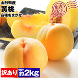 【直送品】品種おまかせ黄桃 訳あり2kg