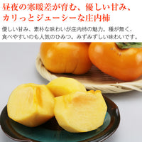 【直送品】庄内柿訳あり5kg