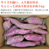 【直送品】産地おまかせ訳あり紅はるか5kgB品