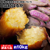 【直送品】産地おまかせ訳あり紅はるか10kgB品