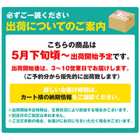 【市場品】【冷蔵】種なしキングデラウェア約1kg