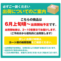 【市場品】【冷蔵】種なし巨峰約800g