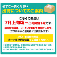【市場品】【冷蔵】ニューピオーネ青秀以上約2kg